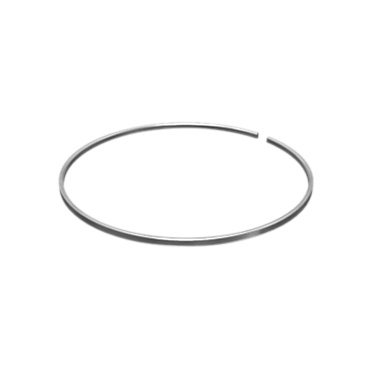6G-6274: Seal Ring