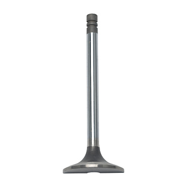 2M-7727: VALVE
