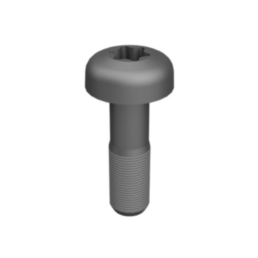 216-0029: Screw-Pan Head